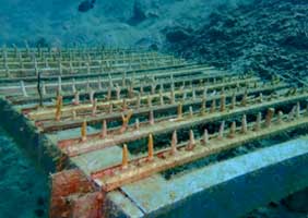 Coral restoration in Malaysia