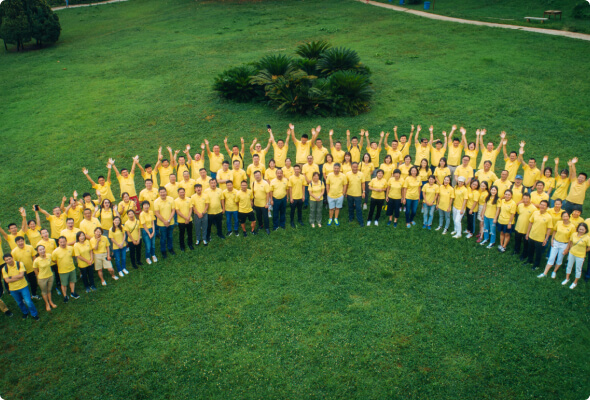 Drone photograph of a large group of people in yellow shirts on a field, posing