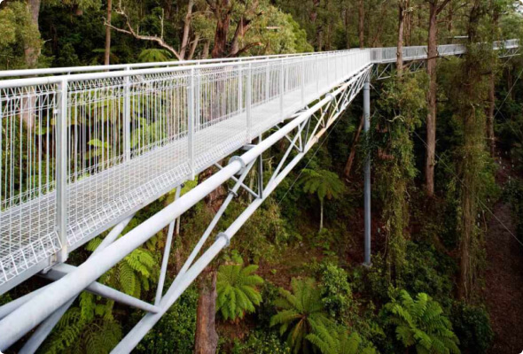 Elevated metal walking platform built through a forest